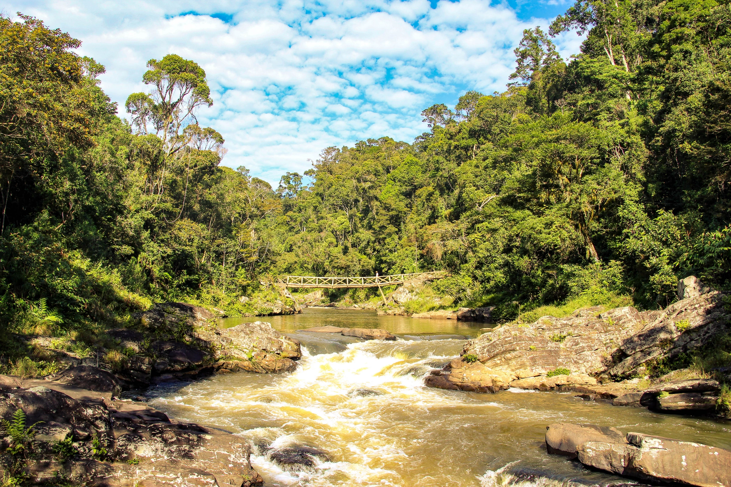Ranomafana[1].webp